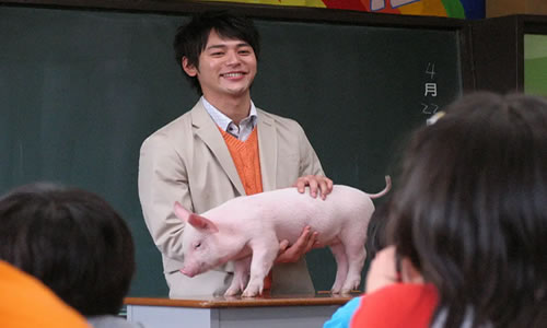 小猪教室