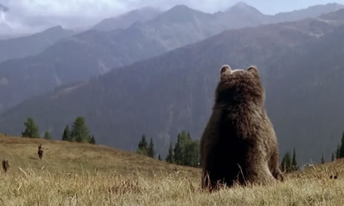 电影《熊的故事》解说文案