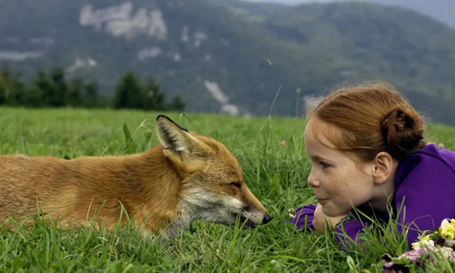 电影《狐狸与我》解说文案