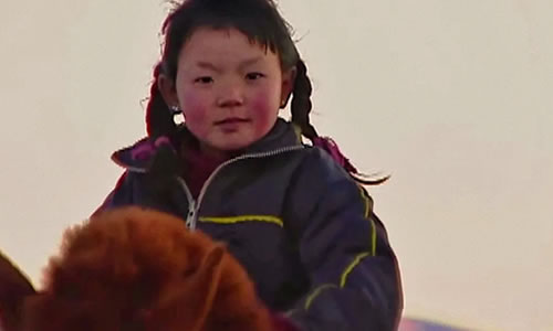 纪录片《蒙古草原，天气晴》解说文案